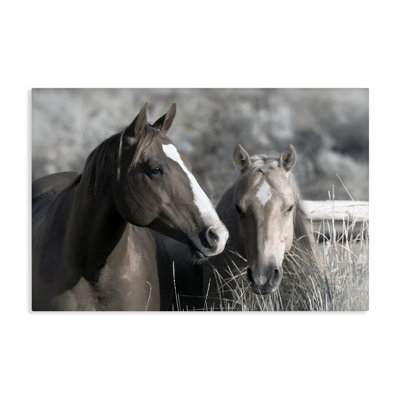 Contenu «Horses In Pasture Canvas», conception par Danita Delimont