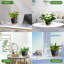 Pots de plantes auto-arrosants d'intérieur-1829309393