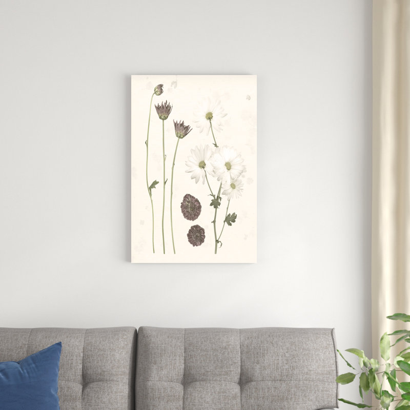«Pressed Blooms IV», impression sur toile, H 30 po x l 20 po
