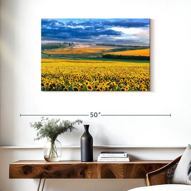Champ de tournesols Alvord, H 24 po x l 36 po