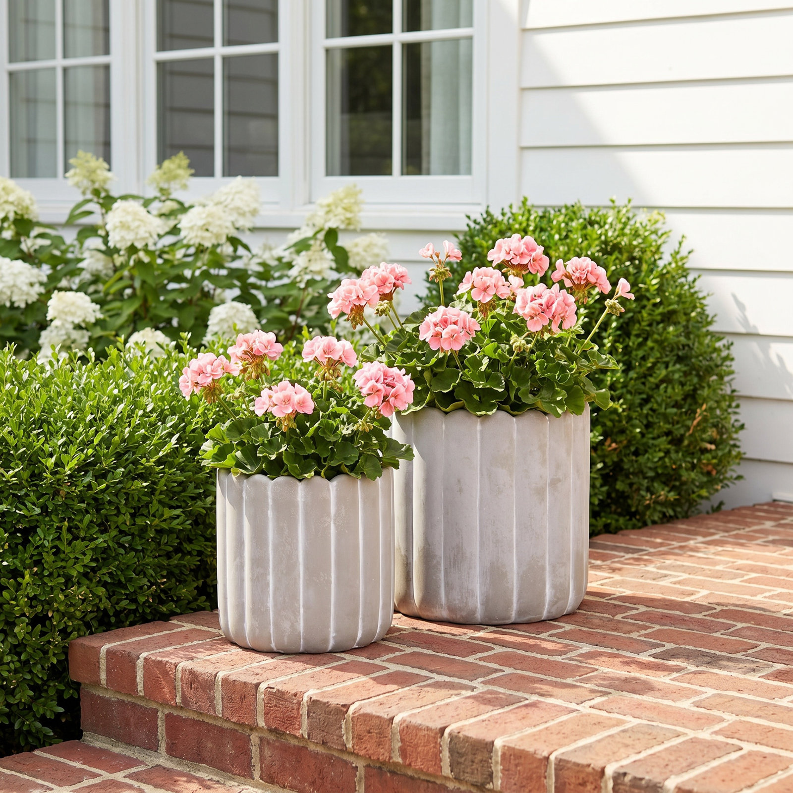 Loma 7" Pot Planter