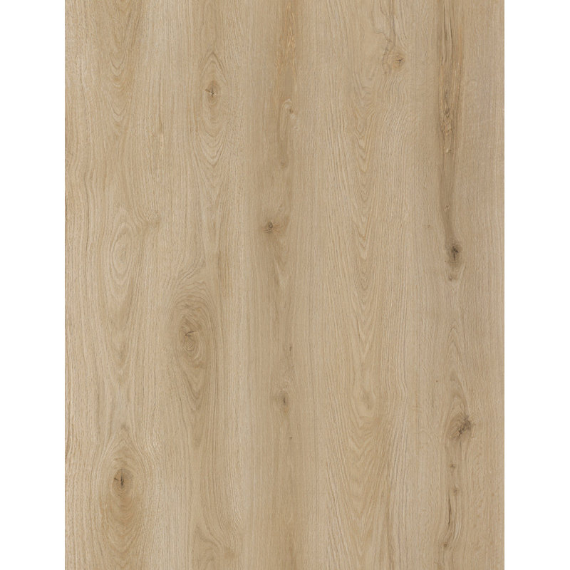 Échantillon à emporter - Plancher de vinyle imperméable de luxe BaseCore - l 6 po x L 12 po, Brun