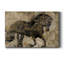 Midnight Stallion - peinture sur toile tendue-406610781