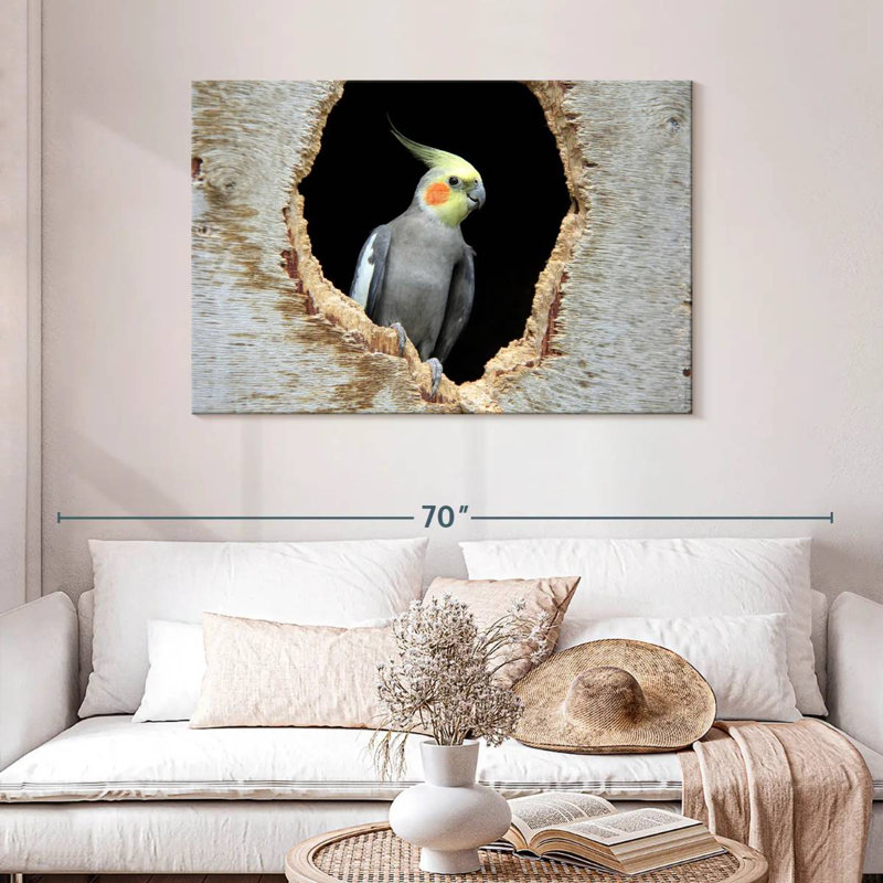Cockatiel Brampt dans un trou, H 30 po x l 45 po