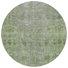 Fern