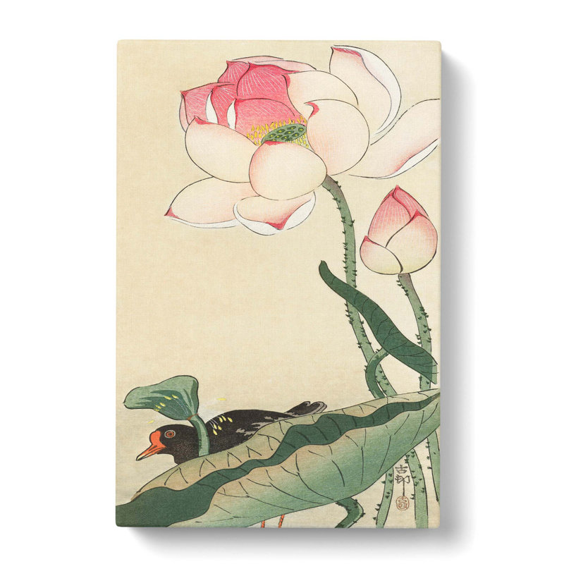 Gallinule With Lotus Flower by Ohara Koson - Wrapped Canvas Painting, 60cm H x 40cm W x 3cm D