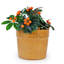 Pot de fleurs en céramique-722818851
