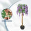 Plant-520078794