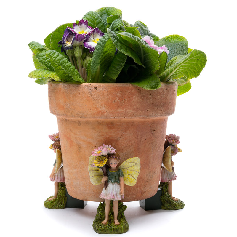 Flower Fairies Daisy Fairy
