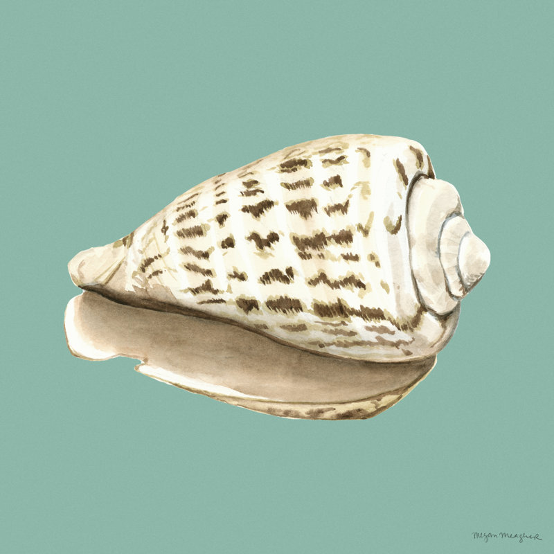 Shell On Aqua II by Megan Meagher - Wrapped Canvas Painting, 30cm H x 30cm W x 3.8cm D