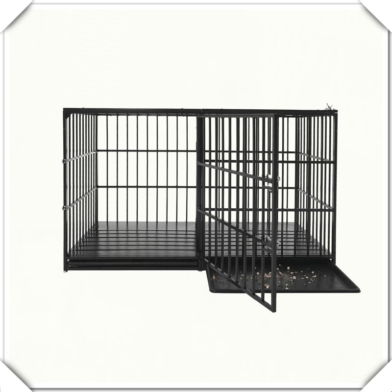 Caisse pour chien robuste en métal robuste