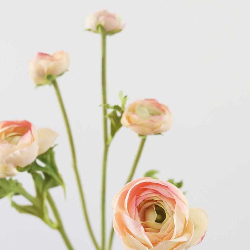 Ranunculus Faux Floral, Apricot