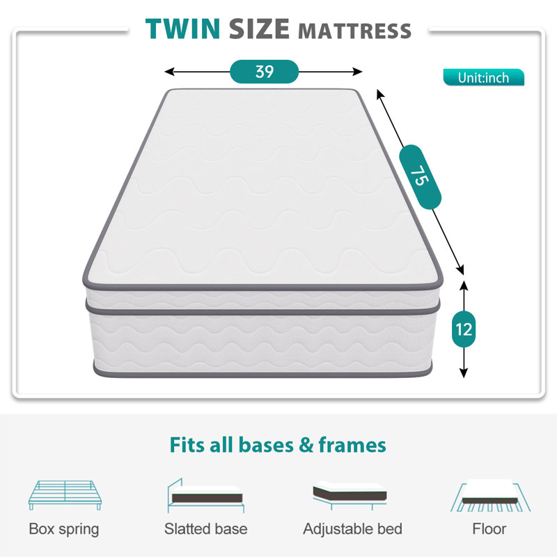 Scheinman FDW Firm Memory Foam Mattress, Twin, High Profile (12”)