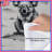Koalas In Forest Landscape Comforter-126400266