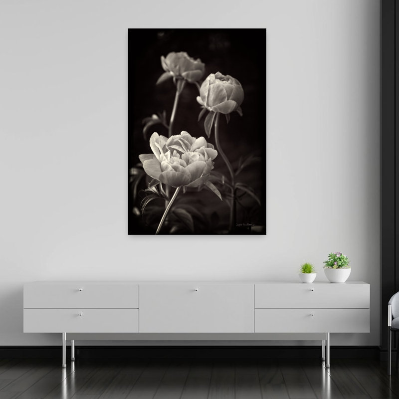 «Peony Dream II», reproduction d'art murale fleur de pivoine contemporaine, 60" H x 40" W
