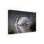 «Summer Idyll Mute Swan» par Berrien, impression sur toile tendue-27653404