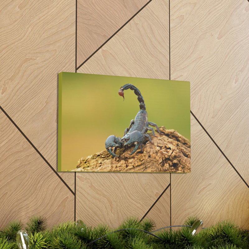 Art mural majestueux Scorpion, H 12 po x l 16 po