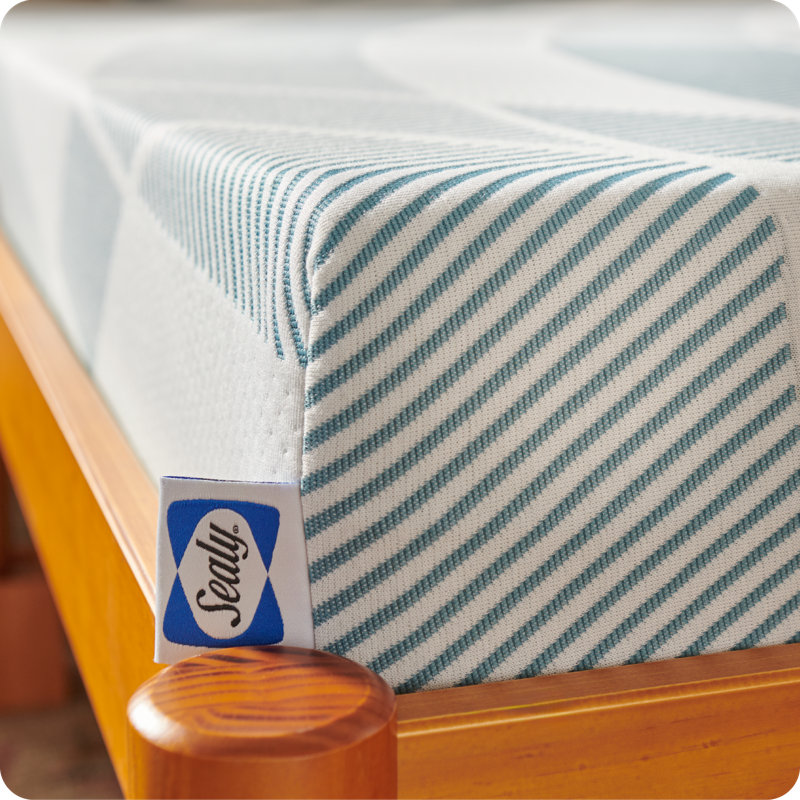 Sealy Dreamlife 8” Medium-Firm Foam Mattress-in-a-Box, Twin