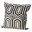 Coussin Damany