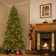 7.5 Ft. Northern Spruce Memory-shape® Tree With Powerconnect(tm) System, Dual Color® Led Lights