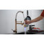 Belfry Kitchen Quon Pull Down Kitchen Faucet