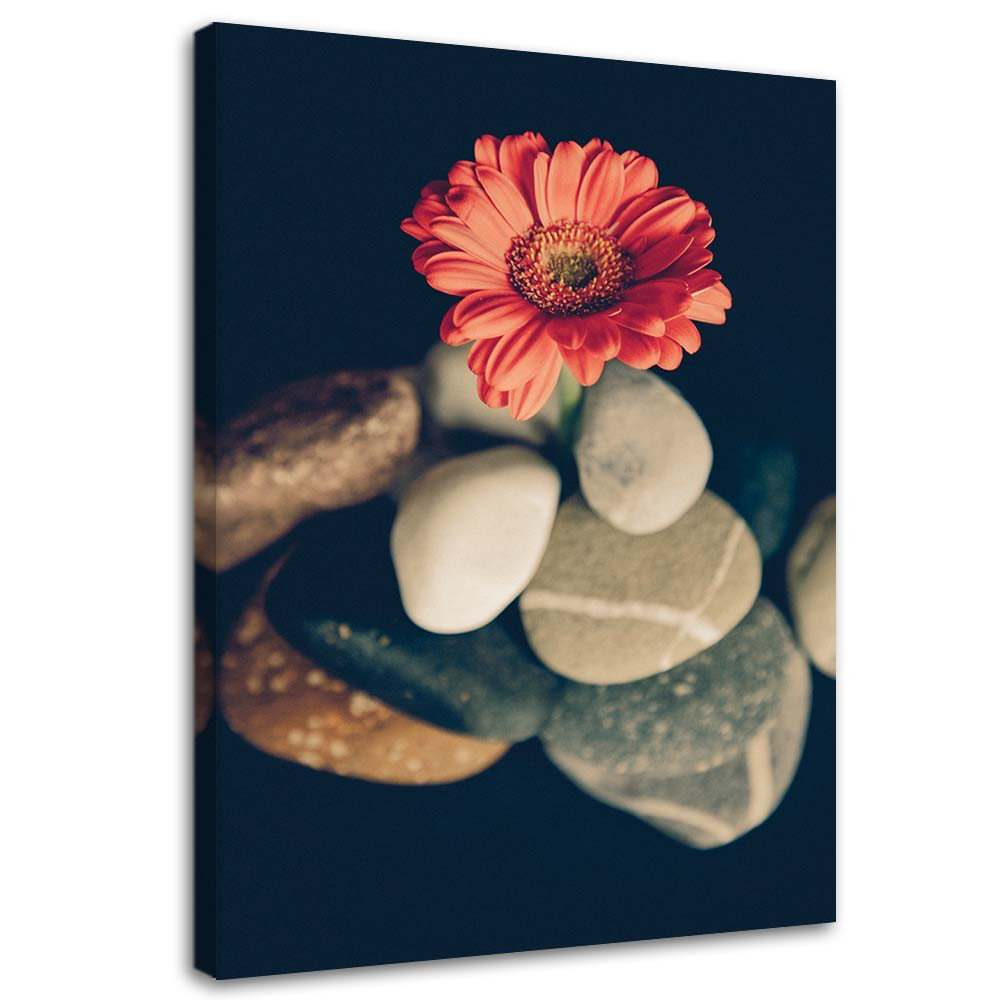 Leinwandbild Gerbera Flowers Zen Stones