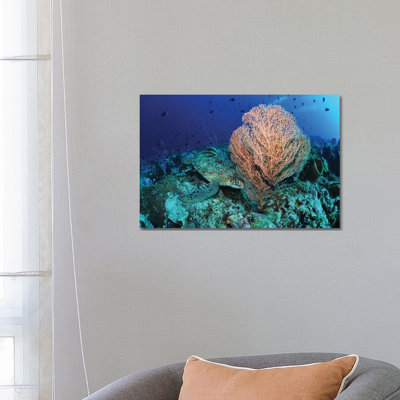 Green Sea Turtle Near A Pink Gorgonian Sea Fan, North Sulawesi 1 Piece Wrapped Canvas Wall Art