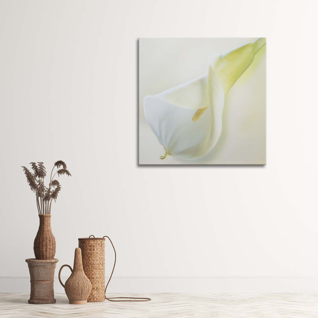 Leinwandbild Callas Flowers Nature White