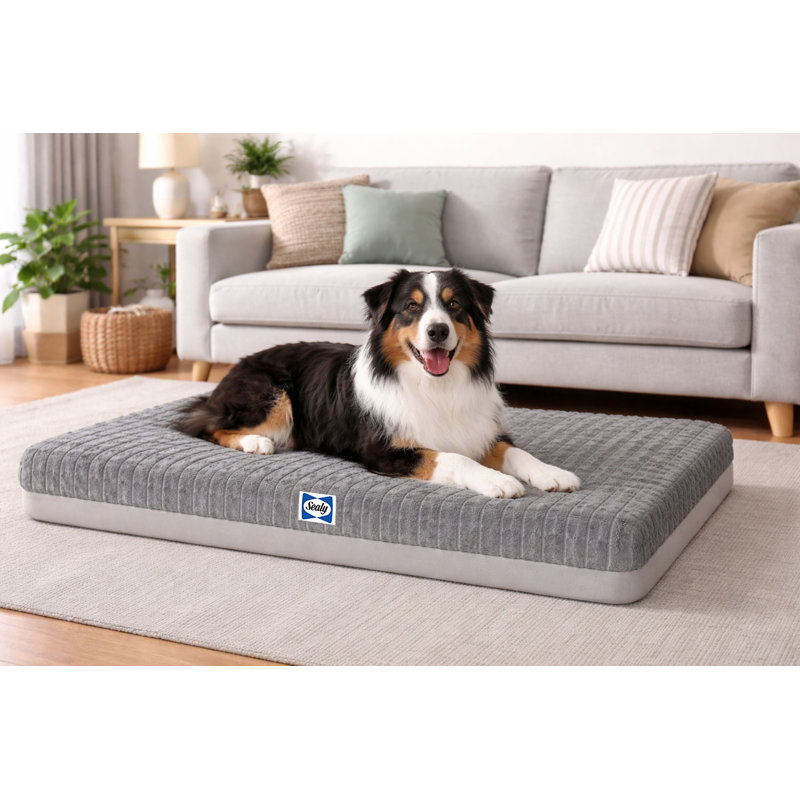 Sealy Memory Foam Crate Mat, Grey, L, L, Grey