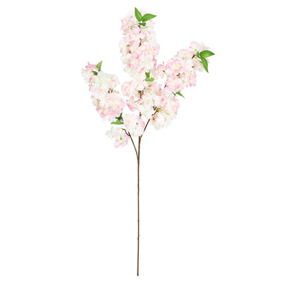 Jet de fleurs de cerisier