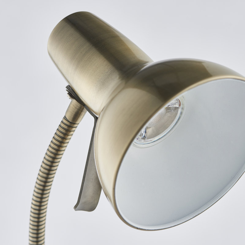 Eichler 161cm Arched Floor Lamp with Adjustable head, Brass