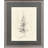 Elegant Pine I Framed Art