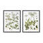 Summer Wildflower Framed Prints