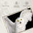 Brampt White Owl-107685924