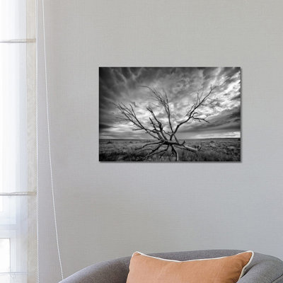Colorado Storm by Dan Ballard - Wrapped Canvas Gallery-Wrapped Canvas Giclée