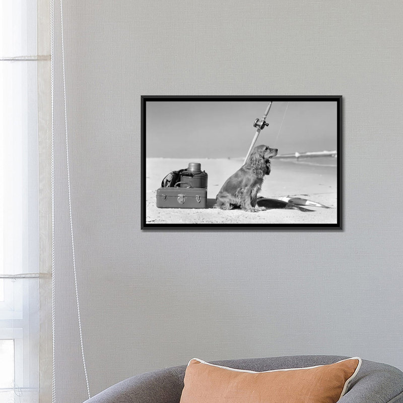 Vintage Images " Cocker Spaniel Dog Standing Guard Over Two Caught Fish And Fishing Equipment " by Vintage Images, No Mat