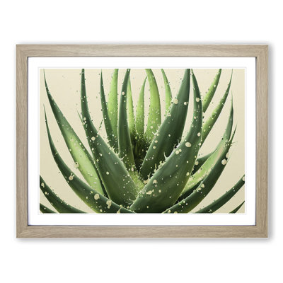 Angelical Aloe Vera Plant - Framed Print