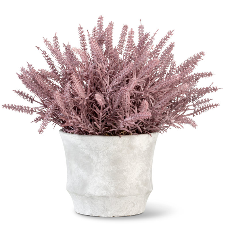 Casper Wheatgrass Arrangement