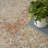 Nourison Essentials Persian Beige/Rust Indoor/Outdoor Area Rug-754634790