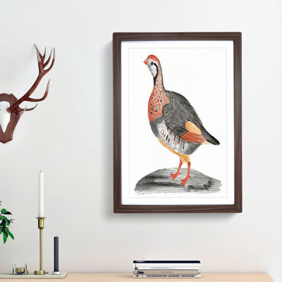 A Partridge by Johan Teyler - Single Picture Frame Painting