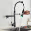 Belfry Kitchen Brigid Pull Down Kitchen Faucet