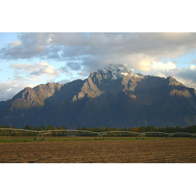 " Pioneer Peak Frosted "