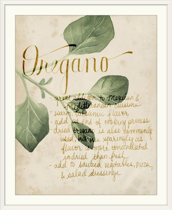 «Herb Study III», Grace Popp, reproduction d'art, H 28 po x l 24 po x P 1 po, Cadre blanc