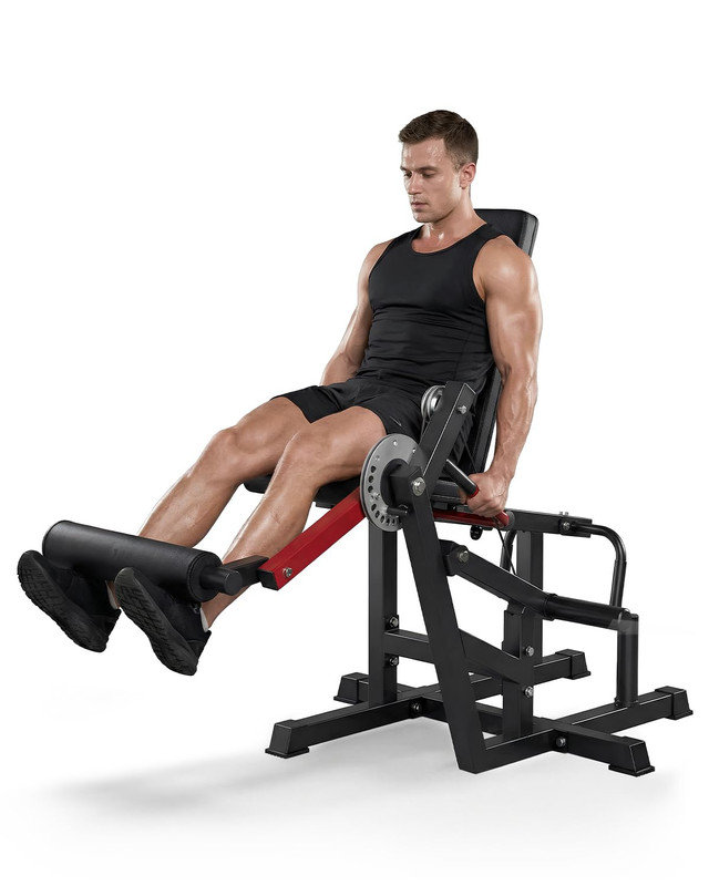 Banc réglable 700LB à extension des jambes et à vagues - appareil 4 en 1 assis et couché pour la gymnastique à domicile