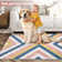 Sommer Chevron Machine Washable Rug with Rubber Backing for Living Room Geometric Non-Slip Dining Room Rug for Bedroom Floor Carpet for Office Nursery Playroom