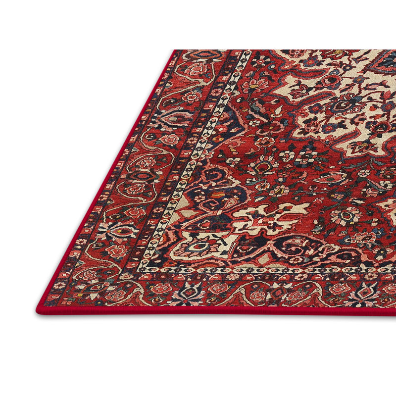 Jakayla Oriental Indoor Rug, Rectangle 6' x 9'