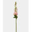 Real Touch Coral Snapdragon 23”-24581444