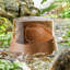Lit pour petits animaux Emircan Hamster