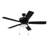52'' Ceiling Fan with LED Lights-2121963018