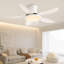 Andreano 122cm Ceiling Fan with LED Lights-1124662481